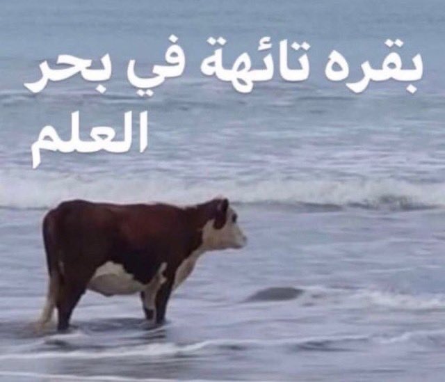 Saeed 🇸🇦. tweet media