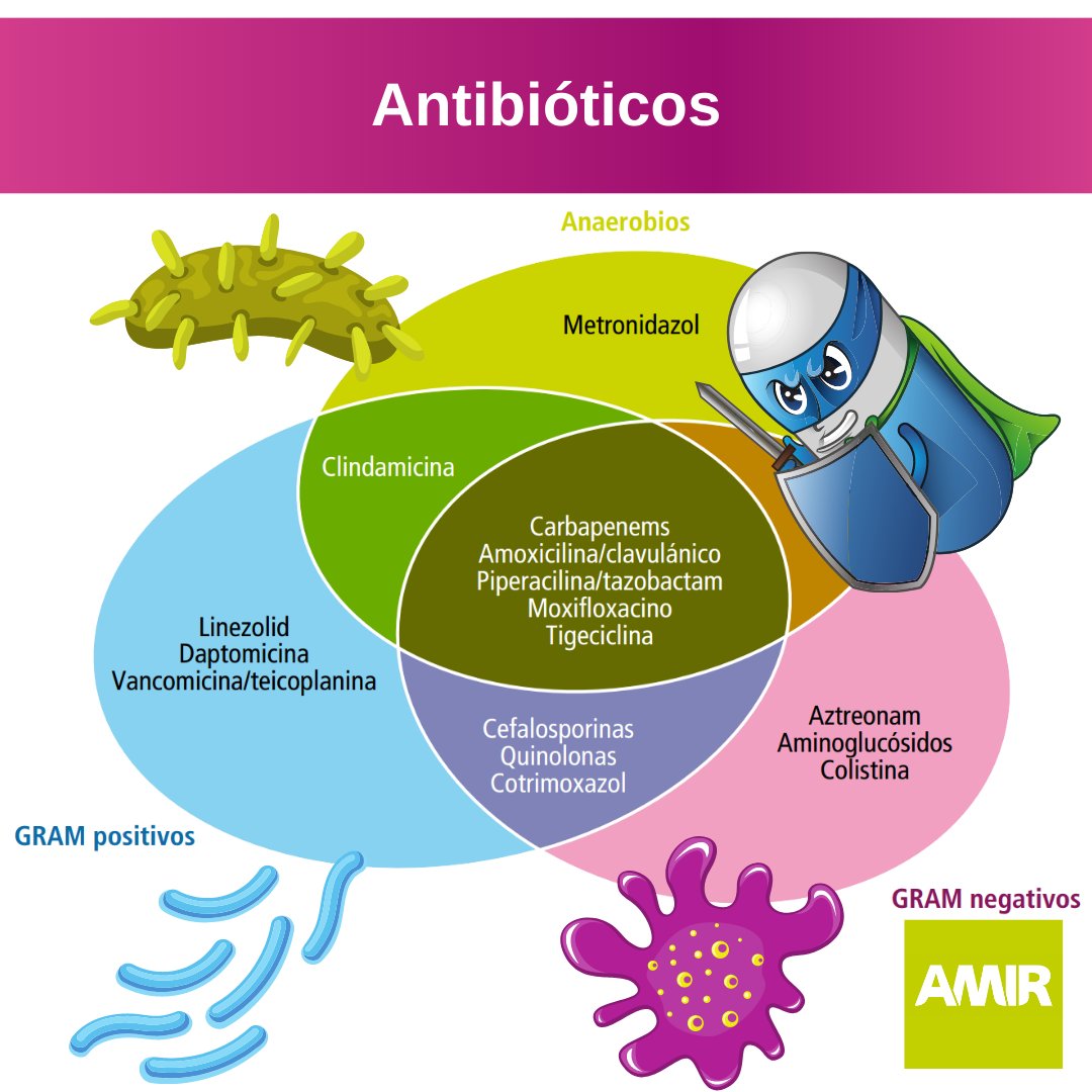 ¿Y qué antibiótico le irá bien? ¡Pues con este esquema lo sabrás! #AMIR #esquemasMIR #manualesAMIR #MIR2021 #2MIR21 bit.ly/2FUm6BF