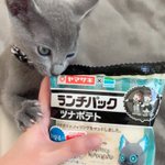 グリムのランチパックを見せたら？リアルグリムが我が物顔でやってきた!w