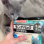 グリムのランチパックを見せたら？リアルグリムが我が物顔でやってきた!w