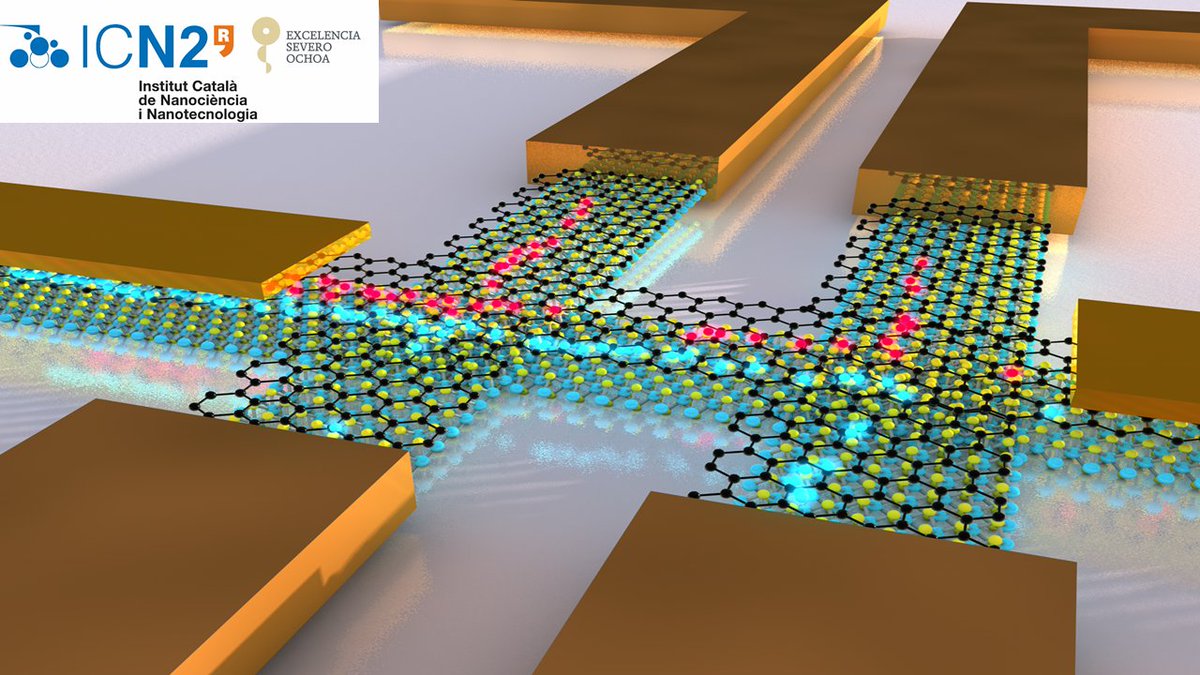 StephanSroche's tweet photo. PhD position opened in our group for exploring new horizons of quantum transport phenomena in van der Waals heterostructures - grant available. contact me by email only at stephan.roche@icn2.cat !!  - deadline October 20
https://t.co/BR4K4lNqZI https://t.co/fecGM0lev5