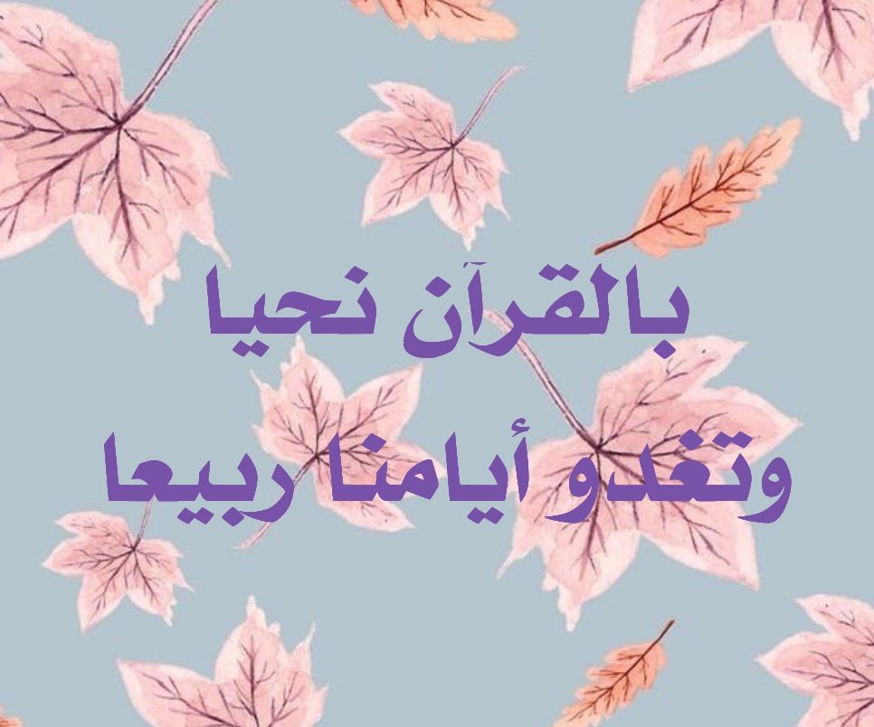 #اقرا_ولو_صفحه_من_القران_يوميا