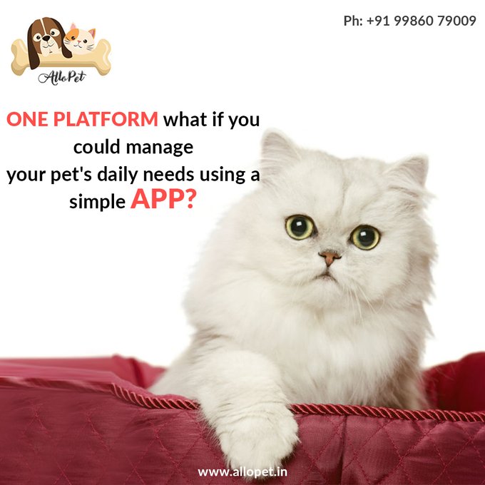 What if you could manage your pet's daily needs using a simple App? Allopet is an initiative to get pet lovers to have online access to all the pet-related #Services at One Platform.

For more details reach us @ 9986079009

#petloverts #pet #onlinepharmacy #petpharmacy #app #dogs