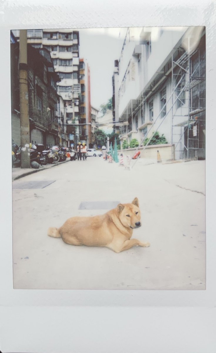 z11 (@zhao11z11) on Twitter photo 