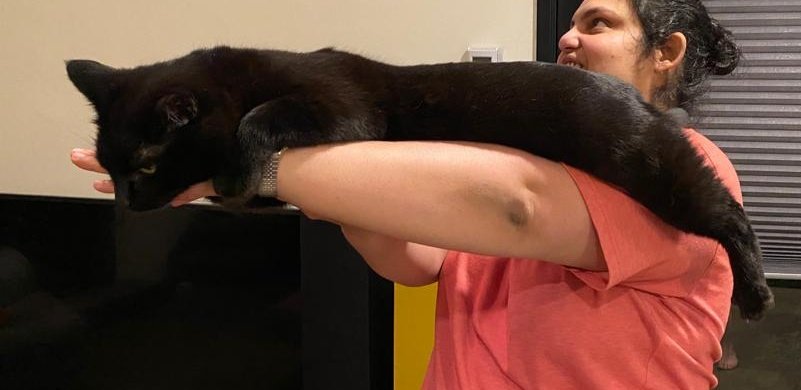 kavyaSukumar's tweet image. When your functions get this long, you definitely gotta refactor
Featuring Henry, the long cat
#codingWithCats #devProblems
