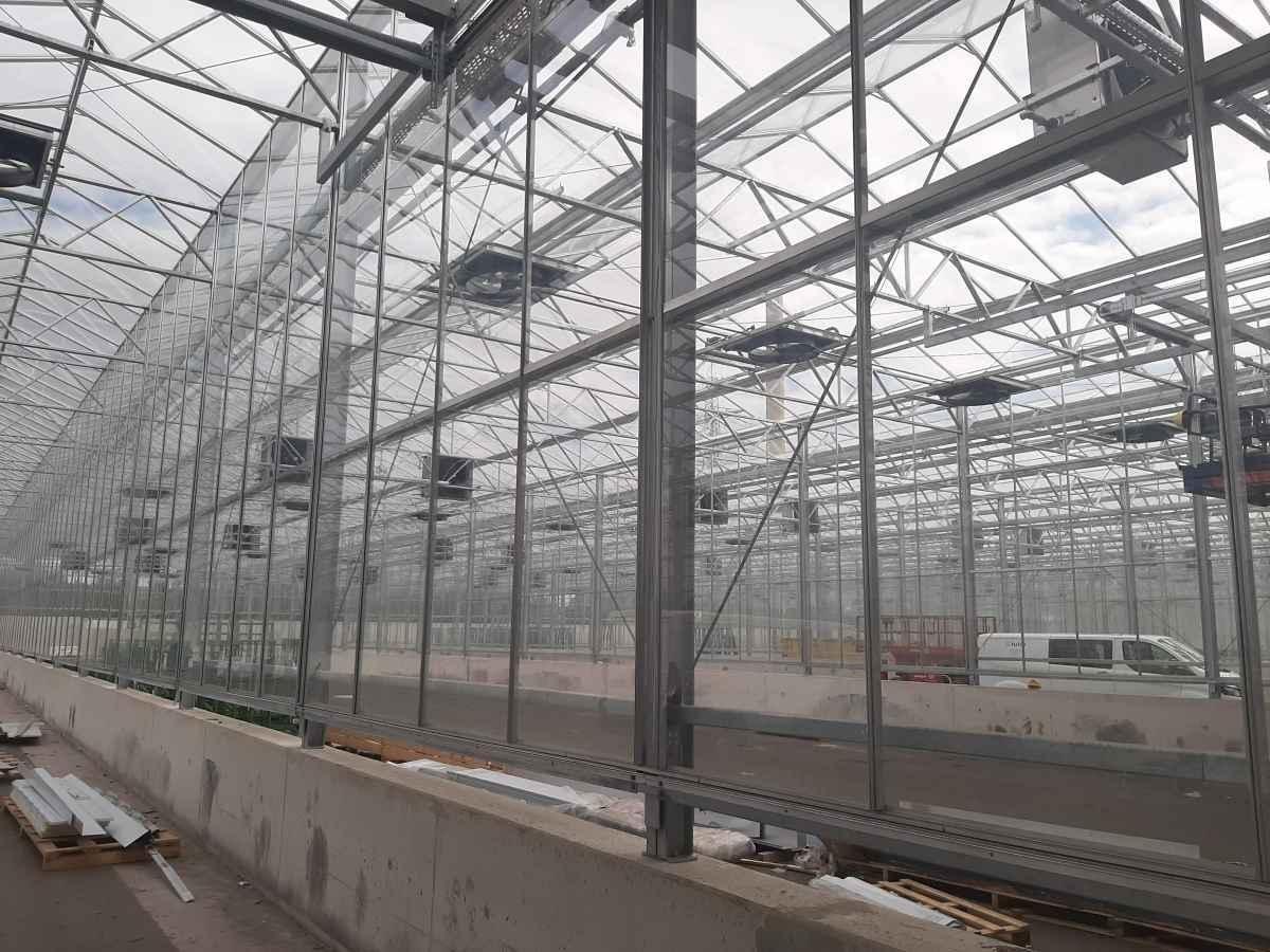 Greenhouse 🥽🧑‍🔧
#greenhouse #project #construction #builder #agriculture #horticultire #greencompanu #teamwork