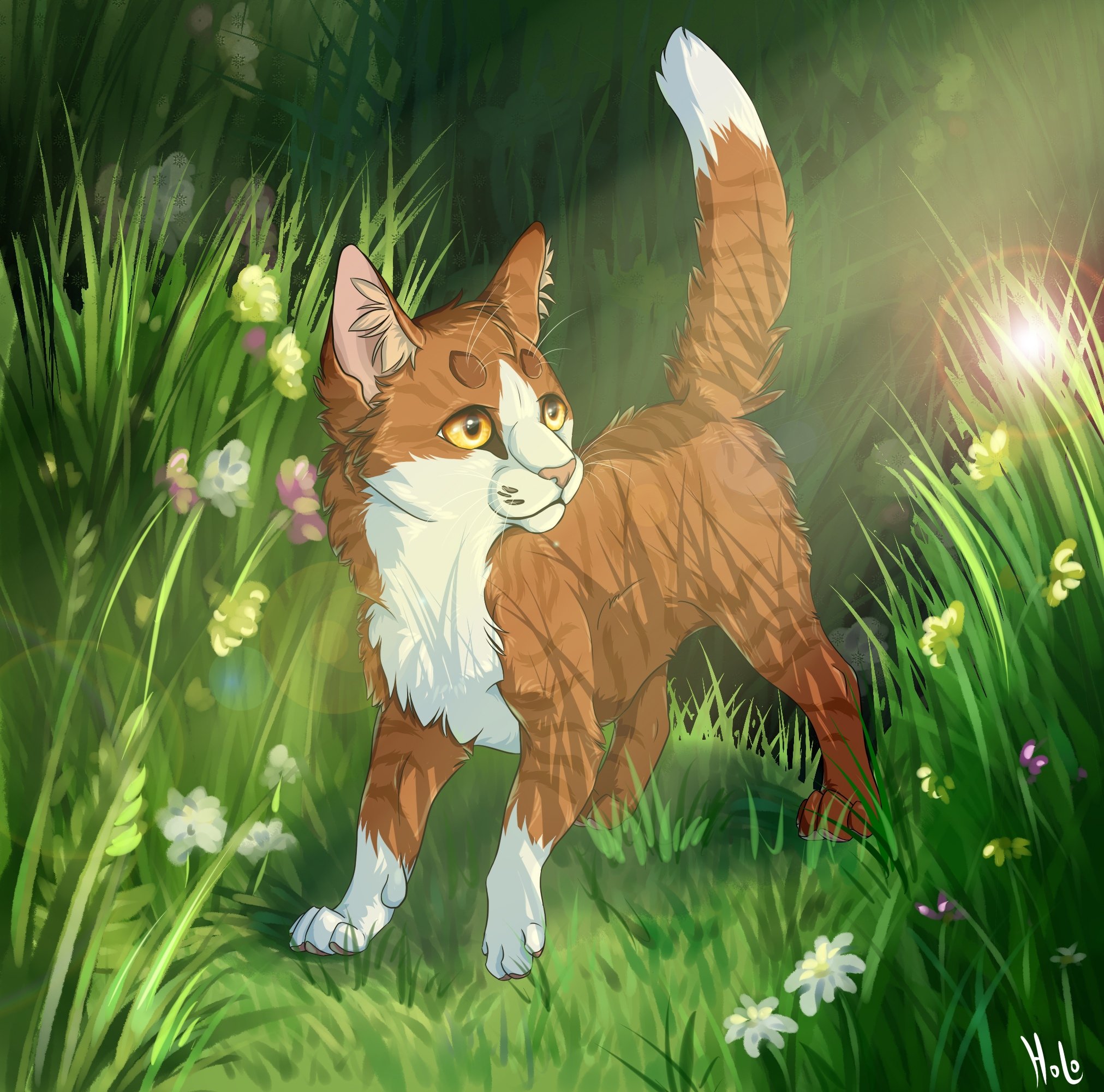 Windclan Warrior cat Game  Warrior cats art, Warrior cats, Warrior cat  drawings