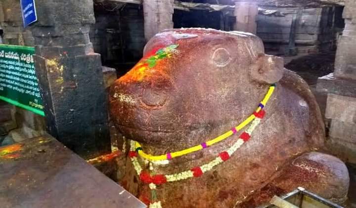 Yaganti Shiva Temple is Located with caves surrounding.Which is famous for Growing Nandi.This Nandi is Growing 1 Inch in Every 20 Years. According to the Archaeological Survey of India, the Nandi (bull) grows its size by an inch every 20 years. 3/n  @rightwingchora