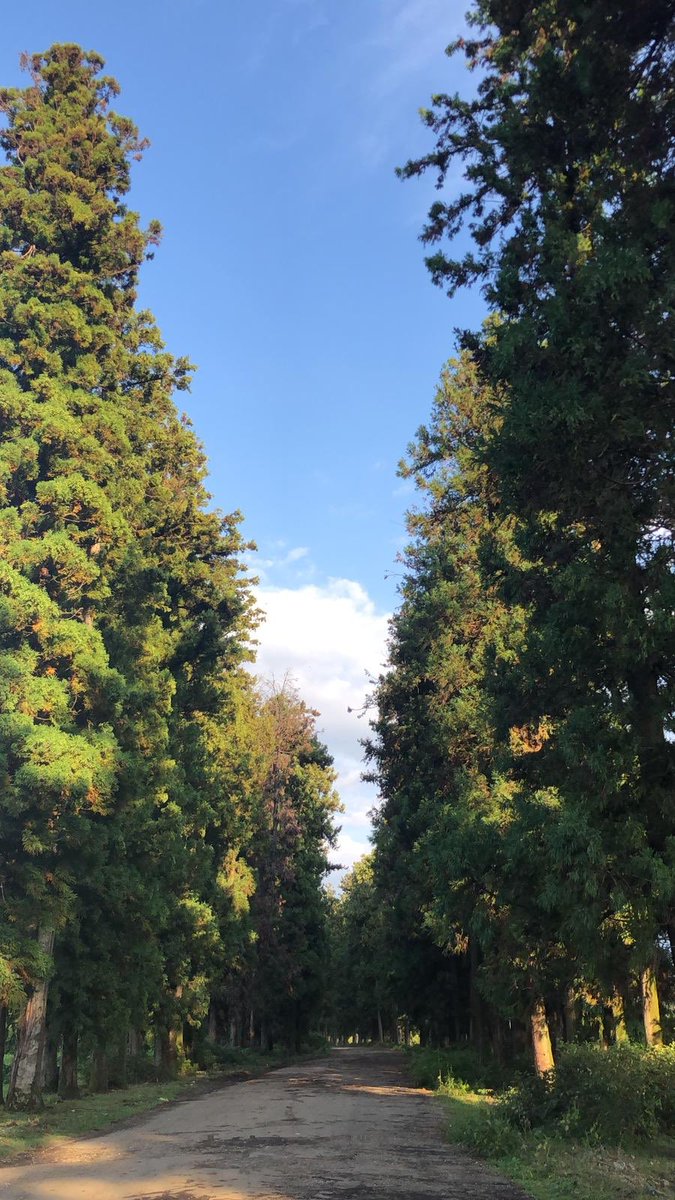 “Ne güzel şey hatırlamak seni. 
 Bunca kalabalıklar ve bunca yorgunluklarımın içinde."  
 Nazım Hikmet Ran