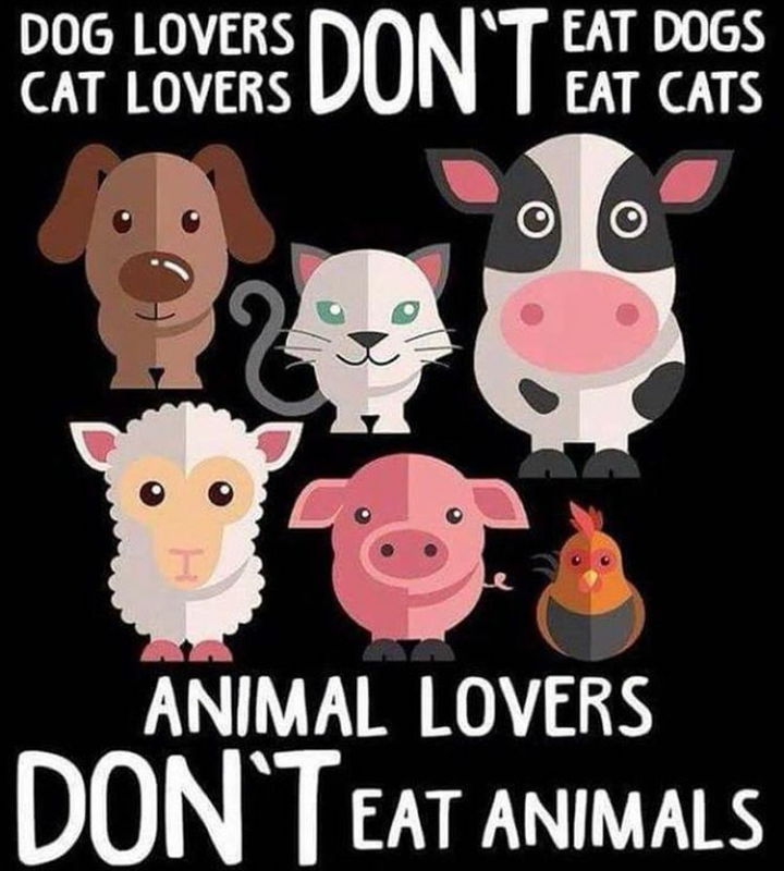 CellfLove's tweet photo. Dont call yourself an animal lover if you eat them. You love pet not https://t.co/suLWwGfWtx the animals, Eat plant based #trueanimallover #crueltyfree #savetheanimals #vegan #vegetarian #quotes #quote #animallover #plantbased https://t.co/tZPxaccKpT