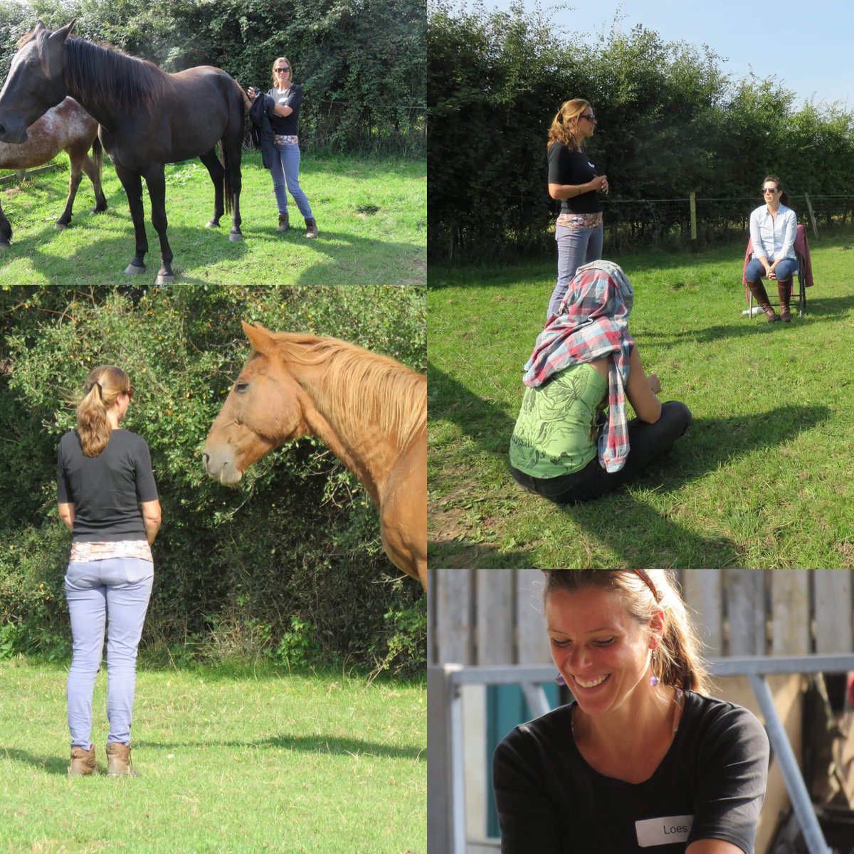 Equilore_herd's tweet image. Fab HAE development day! #equineassistedinterventions #personaldevelopment #coaching #psychology #psychotherapy