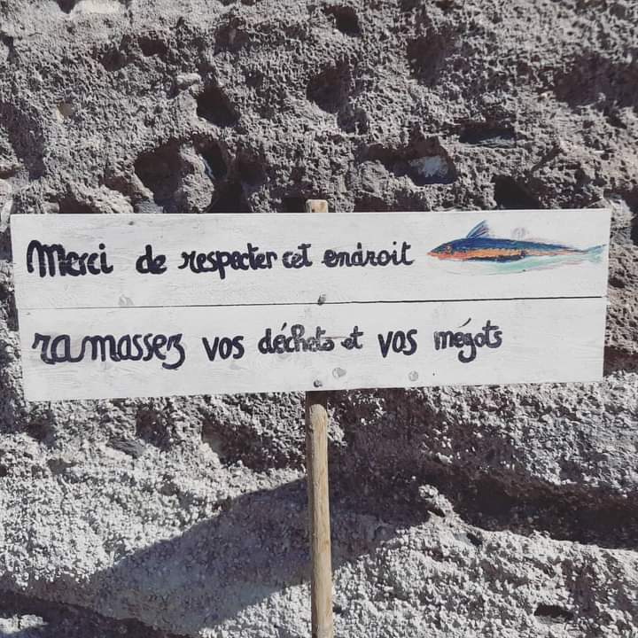 GreenMinders's tweet photo. "Jeter un mégot n'a jamais fait pousser un paquet"
Ces panneaux très créatifs ont été fait par des enfants 👏 et on adore cette initiative, pas vous ? 🌞

Photo : @voyageentransition

.
#zerowaste #zerodechet #cleanwalker #ecologie #onestpret #environnement #megot #GreenMinded https://t.co/i2Ulk0VsH5