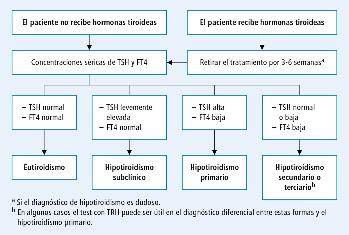 Nueces de brasil hipotiroidismo