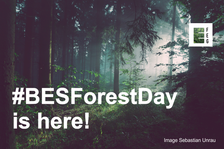 Are you a #researcher working in #forest #ecology? Have you started an exciting new project, published new #research or just looking to tell the us what research your involved in? Let <a href="/BESForests/">Forest Ecology Group</a> help you through our initiative to build a stronger community - Read on! 
Pls RT 1/3