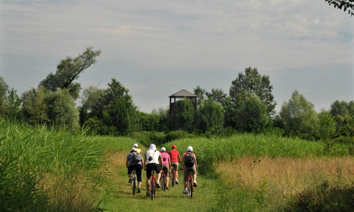 Bikeitalia.it tweet media