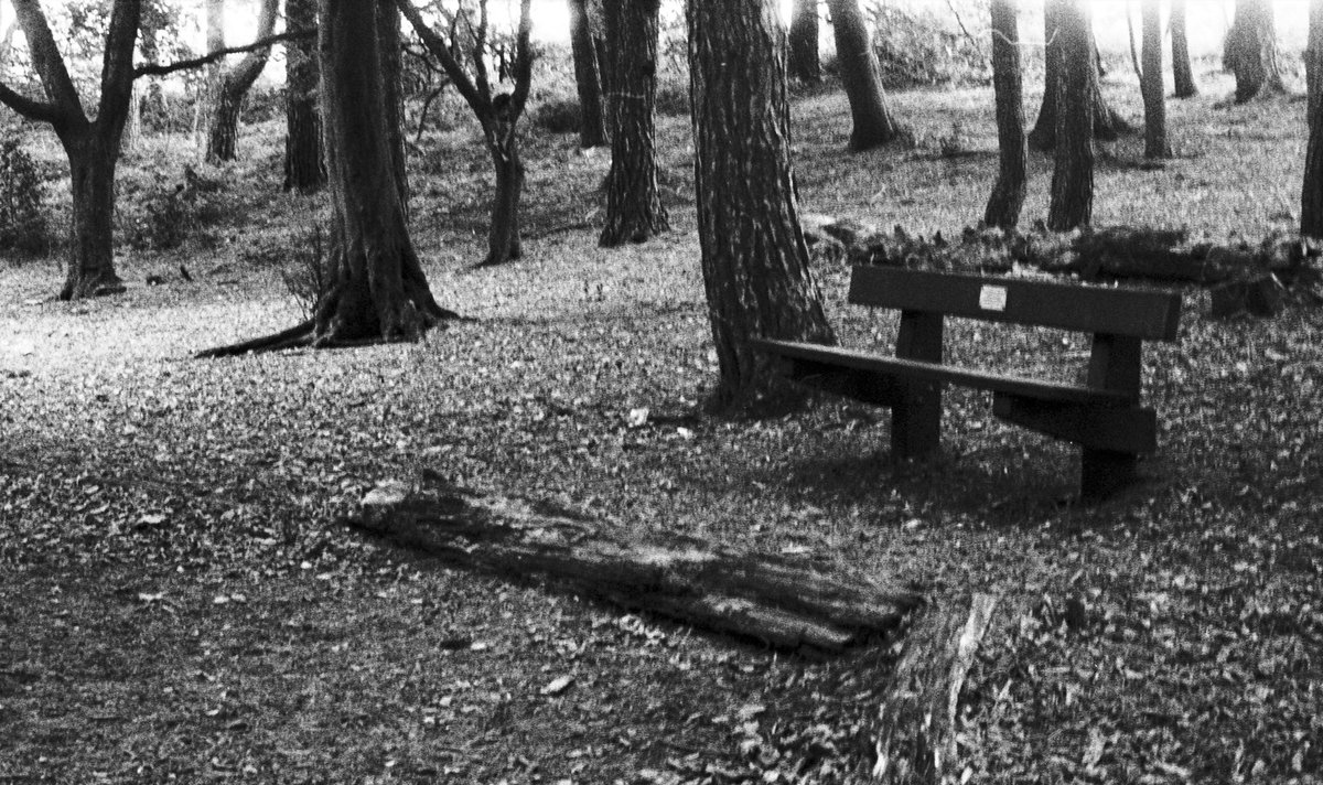 Rich_Roylance's tweet photo. Memorial Bench
#believeinfilm
#blackandwhitephotography #Monochrome #35mm #jenaflex https://t.co/dDweG0Yh9C