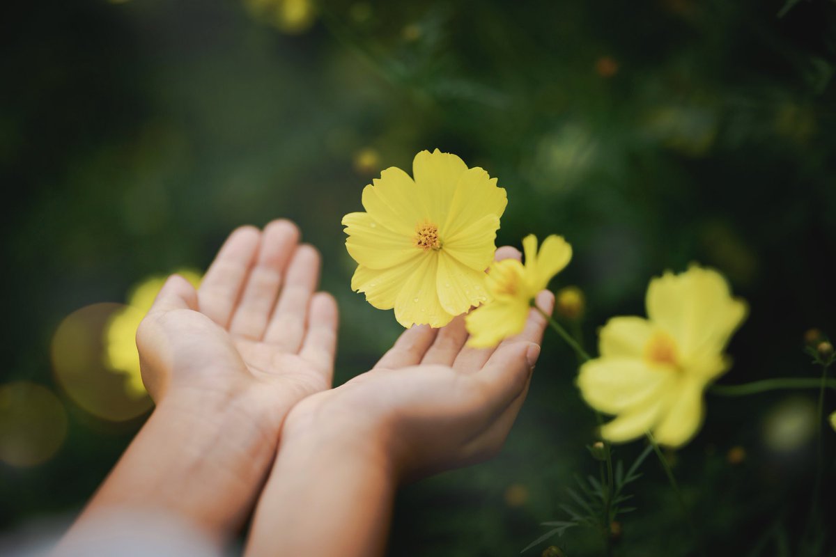 A Ka レタッチ勉強したいな アンダーなレタッチが難しすぎる 元々カラフルが好きなだけに アンダー素敵だなって思うけど ノスタルジックとは何ぞや の迷路に囚われる 笑 カメラ好きさんと繋がりたい カメラ女子 ママカメラ 写真好きな