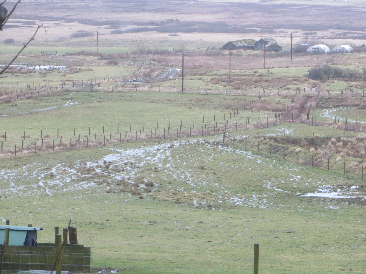 I expected our fields to flood like the neighbouring fields.Photos of our fields from 3 years ago when the burns weren't quite as high as this weekend.A lot of standing water on the fields & a new burn flowing down towards the electricity pole