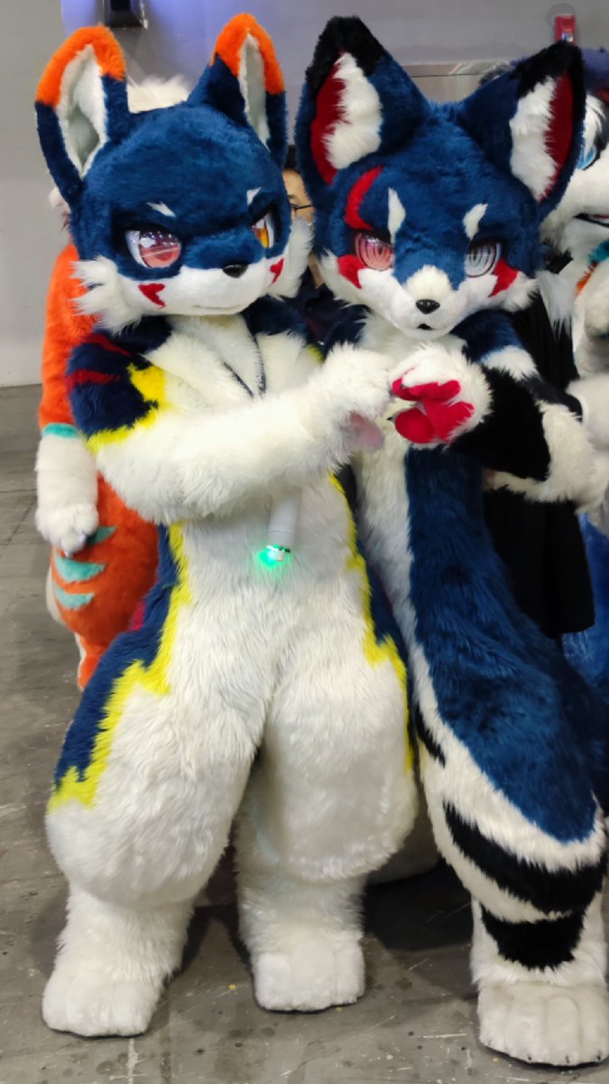 跟日日一起比💕！
📷✨：白小告