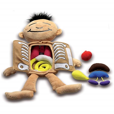lockersrus's tweet photo. https://t.co/11mbwIGTeZ
Science has never been so cuddly! Introduce children to the basic organs and systems of the human body.
Unbutton the doll’s chest to explore the organs inside the human body.
Match the different organs to different body systems.
#educationalsupplies https://t.co/PjavxVT8z4