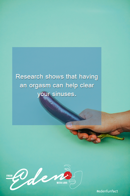 edenwithlovesa's tweet photo. #edenfunfact;
Next time your partner tries to make an excuse about a flu, just show them this post.
#pregnancyscare
#bdsm
#kink
#kinky
Don't forget to follow us on our social media networks
Facebook, IG, YouTube; fromedenwithlovesa and Twitter; edenwithlovesa https://t.co/2xERl1uLkw