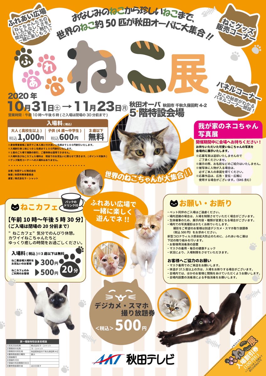秋田オーパ V Twitter 秋田 イベント 情報 ふれあいねこ展 10月31日 土 11月23日 月 祝 秋田オーパ 5f特設会場 時間 10 00 18 00 世界の ねこ ちゃんが大集合 かわいいねこちゃん達とふれあいもできるよ 詳細や諸注意は公式サイト 秋田オーパ V Twitter 秋田 イベント 情報 ふれあいねこ展 10月31日 土 11月23日 月 祝 秋田オーパ 5f特設会場 時間 10 00 18 00 世界の ねこ ちゃんが大集合 かわいいねこちゃん達とふれあいもできるよ 詳細や諸注意は公式サイト