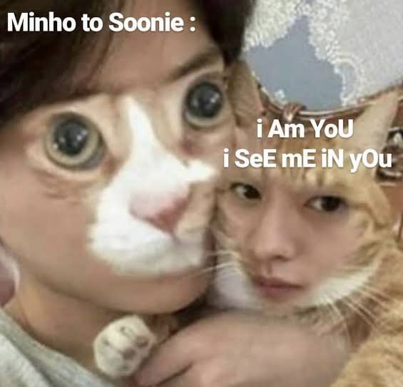  Minho stans • y’all scary• either the first to join a fight or the last - no in between • mostly soft layouts but that’s a mf lie • SOONIEDOONGIEDORI AHHH• always interactive and it’s great • literally some of the only stays to actually call him lee know
