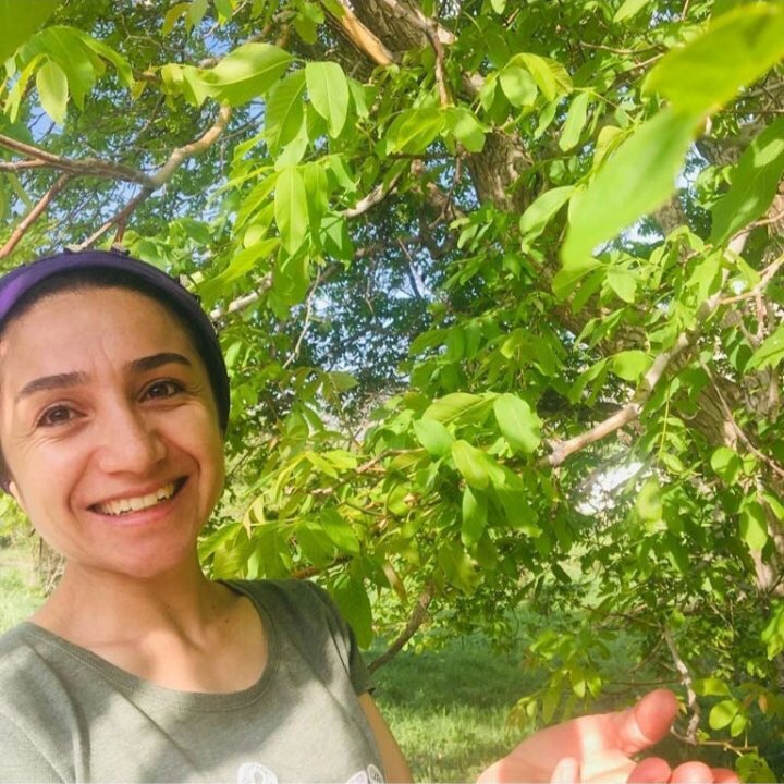 Van’da 4 gazetecinin yanı sıra Eski gazete dağıtımcısı Şükran Erdem’de gözaltına alındı.