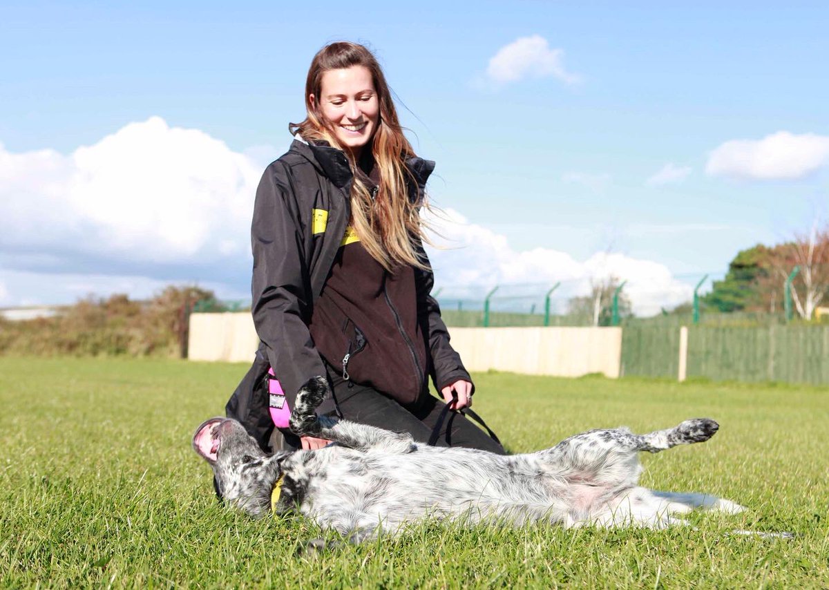 DT_Shoreham's tweet photo. Reason no.8962 why we love dogs: goofy rolls in the grass! 🤪
Logan is a super-cute-floofer when he’s upright too — check out his profile & see if he could be the newest member of your family... 🐶 https://t.co/0Exd04Hrpy #dogsoftwitter #dogroll #dogstrust #shorehambysea https://t.co/GJqWIV976K