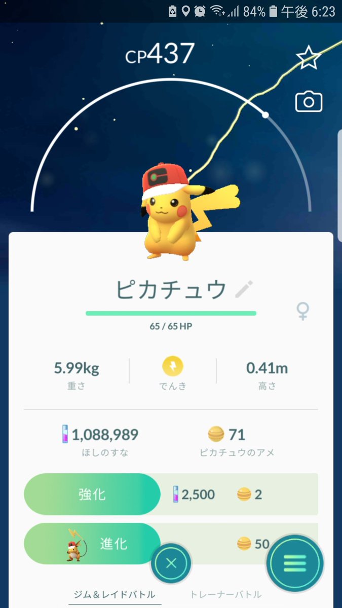 サトシ帽子ピカチュウ