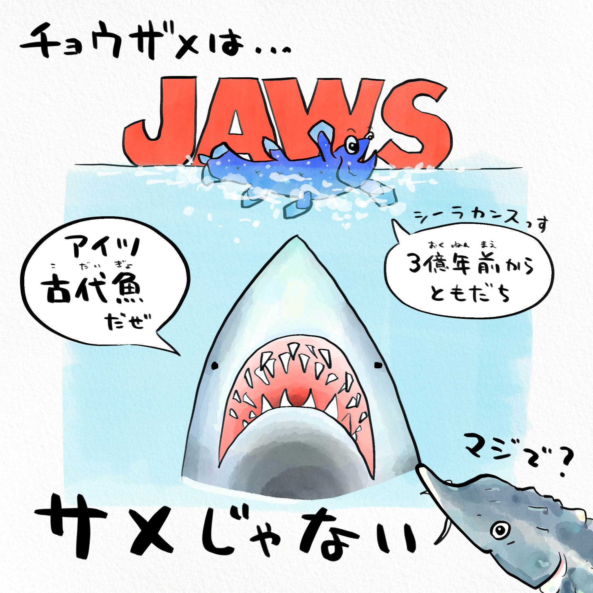 さかなのおにいさん かわちゃん Twitterren チョウザメはそもそもサメじゃない さかなのおにいさん かわちゃん Twitterren チョウザメはそもそもサメじゃない