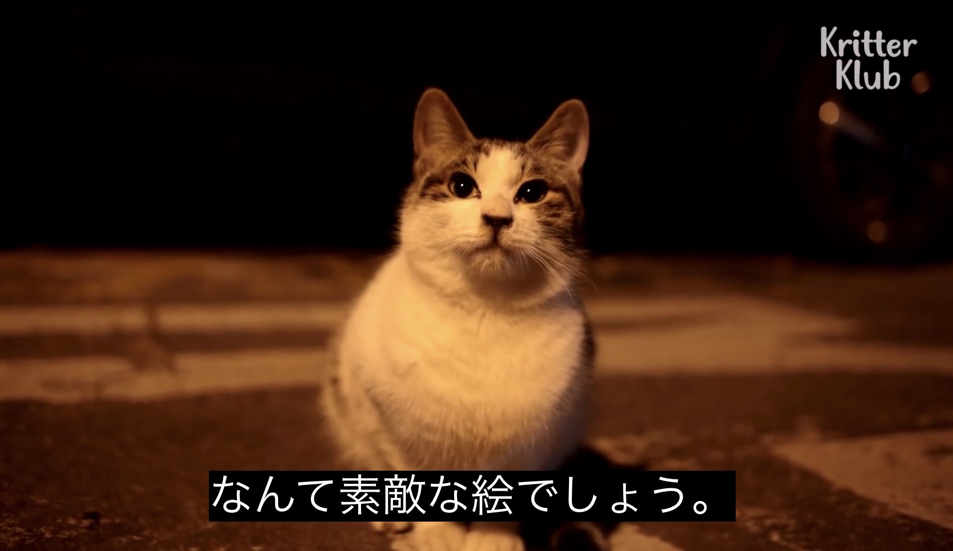 どうぶつ動画字幕bot なんて素敵な絵でしょう T Co Yk5bx427yp Twitter