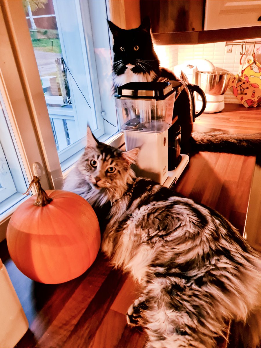 Kahvit tulille ja luurit korville. Tulevaisuuden älykkäät Oppimisympäristöt, here I come! #cityasaplatform #tulevaisuudenoppimisympäristöt #älykkäätoppimisympäristöt #6aika