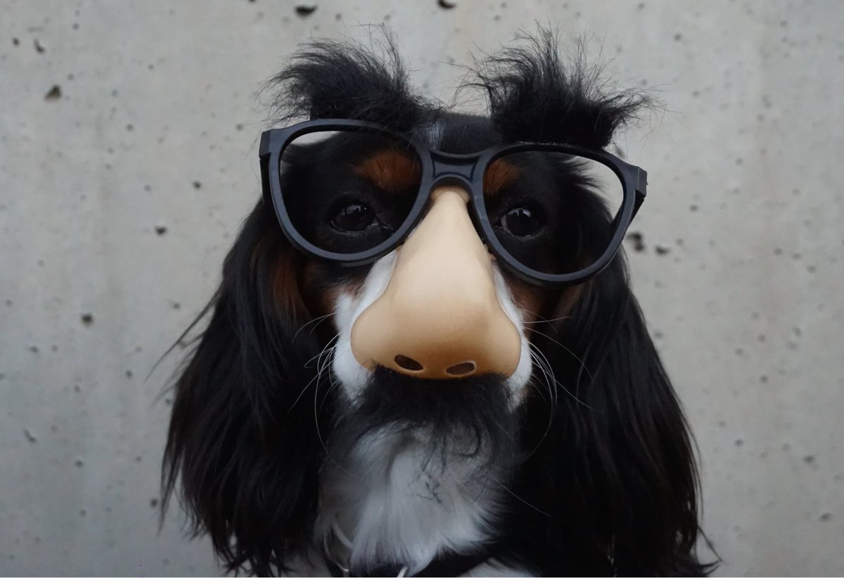 StudentIoe's tweet photo. Don't forget to join our IOE Welcome Quiz at 1pm in the IOE BAR ! We are looking forward to having a lot of fun with you all. 😍💯

 https://t.co/lbzHHssL06 https://t.co/fKledq1cCd