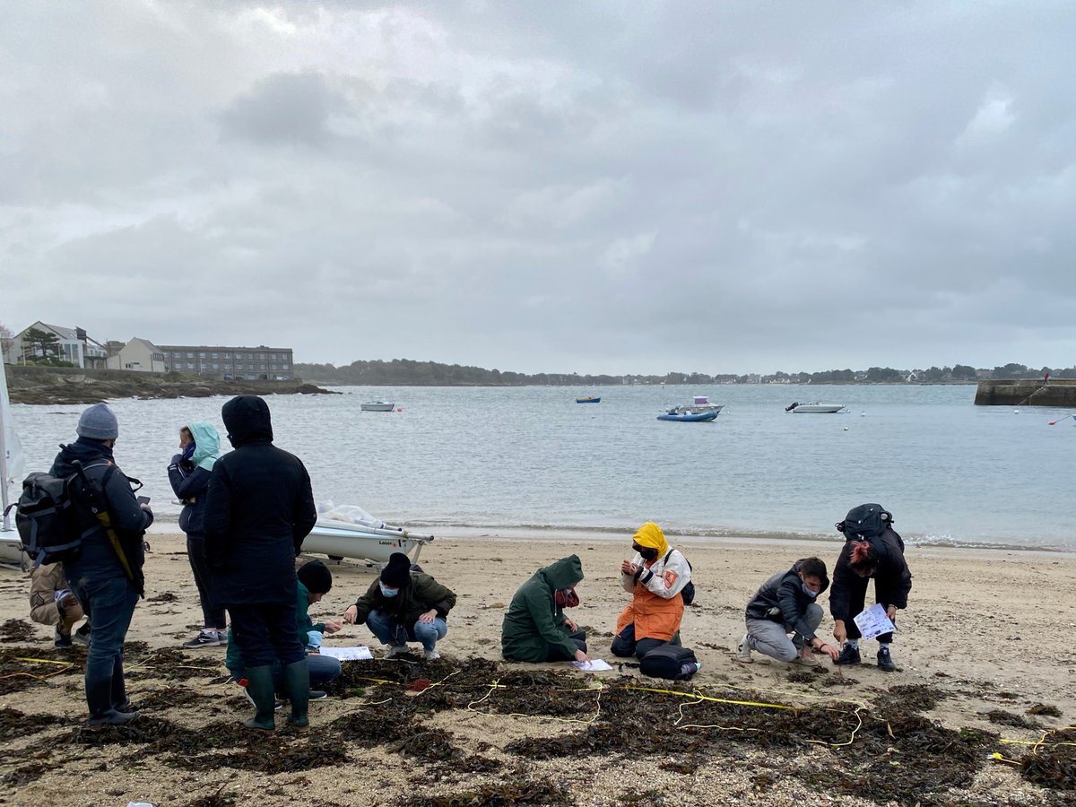 les étudiants de l'<a href="/eesabbrest/">EESAB Site de Brest</a> s'initient au protocole ALAMER #PlagesVivantes sur les laisses de mer avec Elisa Allonso-Aller <a href="/studio_bbp/">Agence Big Bang Project</a>. 2h sur la plage à déterminer les algues avec un air marin vivifiant :)