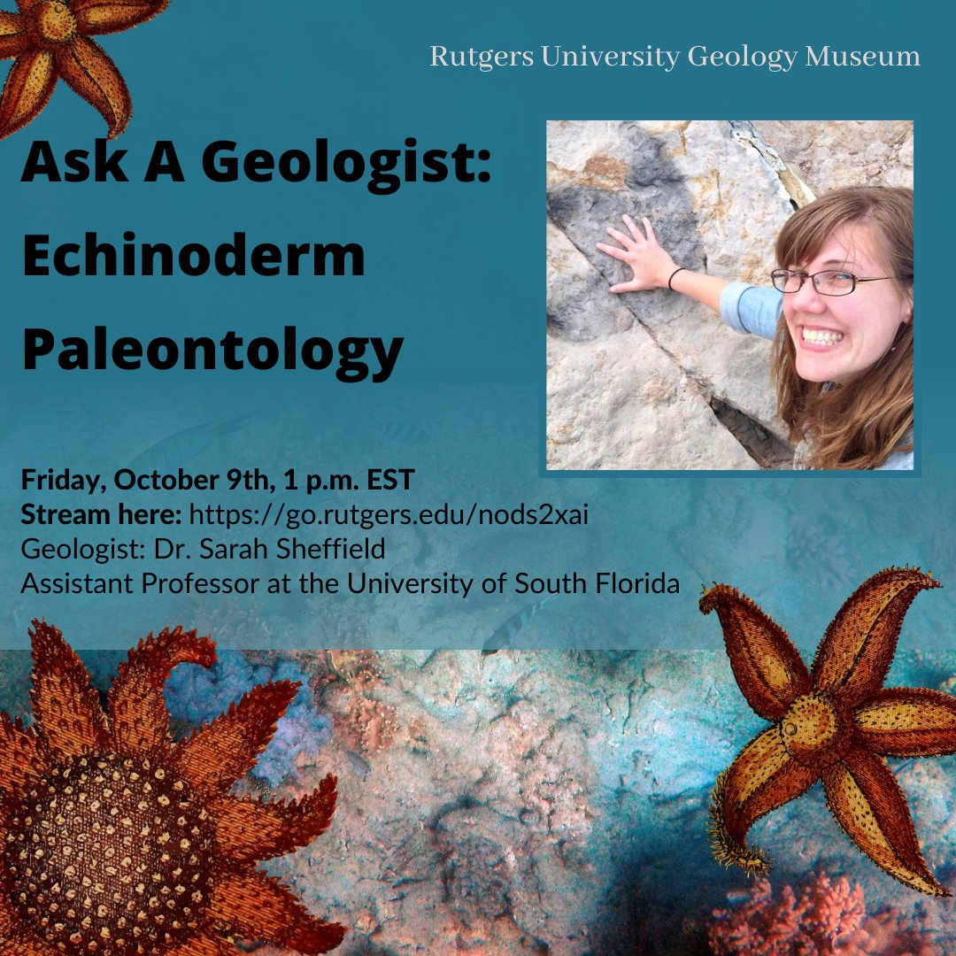 RUGeoMuseum's tweet photo. Join us on Friday, October 9th, for our #AskAGeologist series! Dr. Sarah Sheffield will present on Echinoderm Paleontology. Echinoderm refers to a group of marine animals such as starfish, sea urchins, sand dollars, and sea cucumbers! ⭐🌊 https://t.co/DqzjDRcDyu