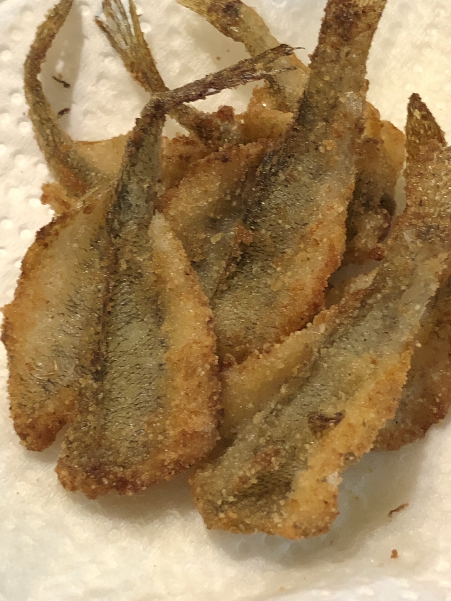 Hinano で ハゼの唐揚げ ハゼ釣り 唐揚げ 美味しい T Co R58gjr6qkw Twitter
