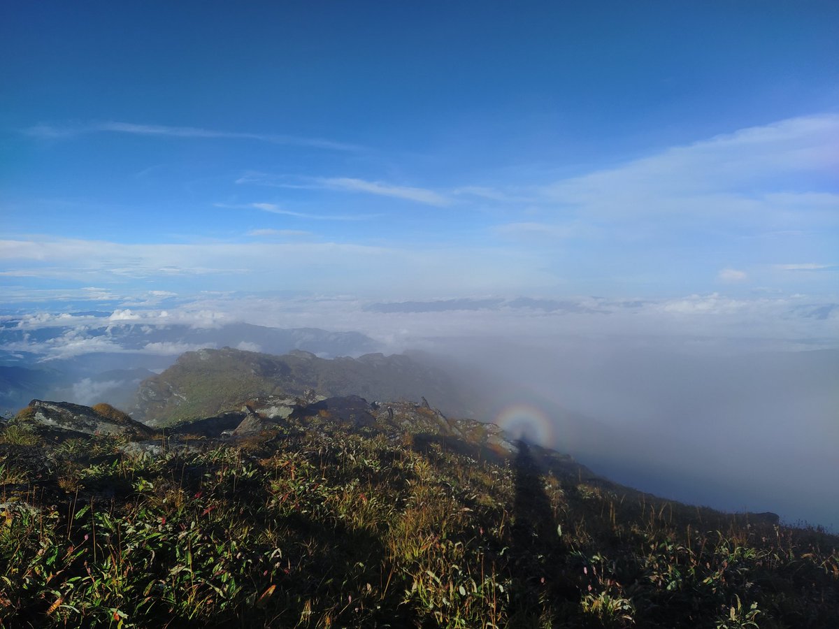 #Saramati the highest peak in #Nagaland measuring 3816 meters (Garmin Oregon 550). International boundary pillar no. 138  India bordering Myanmar.