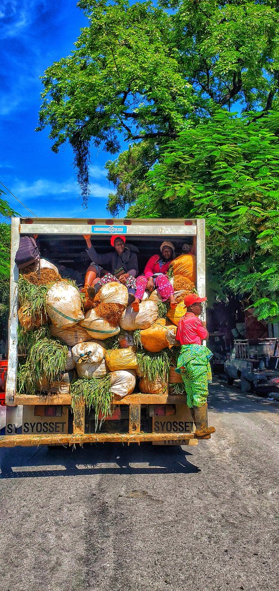 amazan_charly's tweet image. 10:43 nan Pòtoprens... 

#chèchelavi
#fotodetay
#detayfoto
#fotografdetay
#amazanphotography