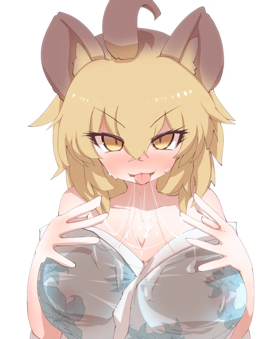 デルタゾーン 