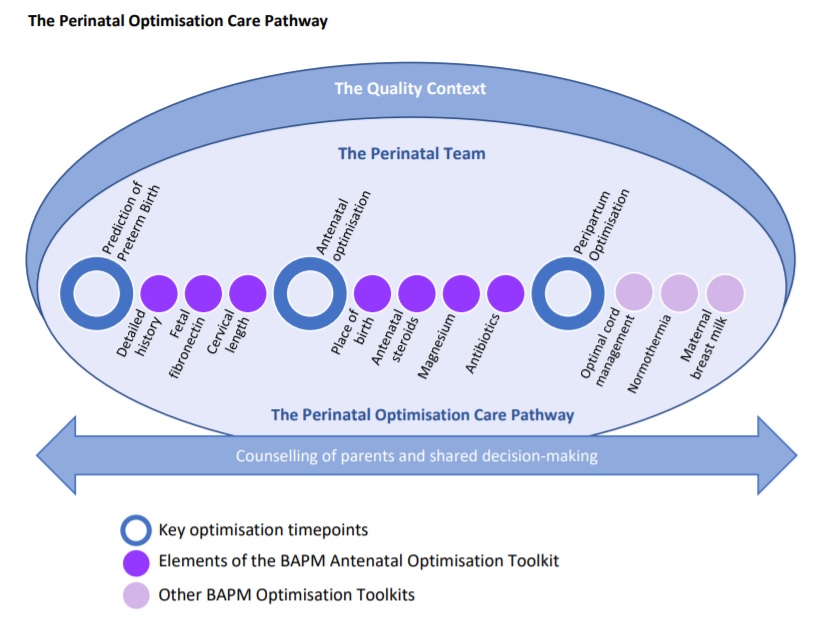BAPM_Official's tweet photo. Did you know that the BAPM #AOToolkit is one of several toolkits to support a Perinatal Optimisation Care Pathway?

#Normothermia is out now and maternal breastmilk and optimal cord management are coming soon.

https://t.co/7aoLVDkIuW https://t.co/nSFvZrxc6k