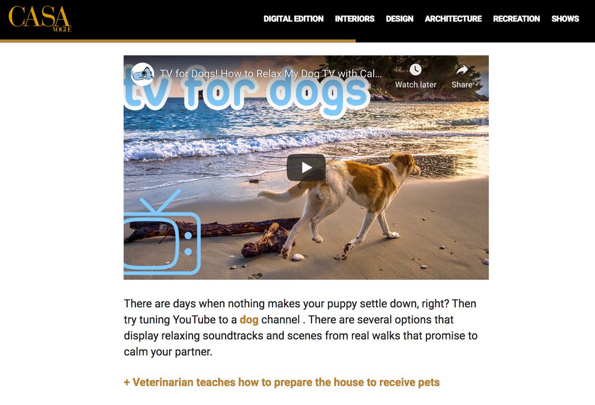 RelaxMyDog tweet media