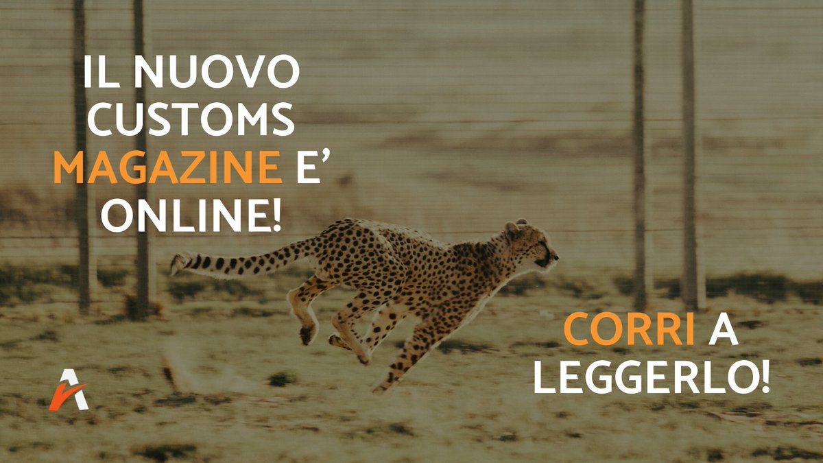 C_Trade_Ita's tweet photo. E' online il nuovo Customs Magazine di C-Trade!
Registrarti gratuitamente e accedi al contenuto!

link: [https://t.co/55cUxQAEWC] https://t.co/5aXQSIluAZ