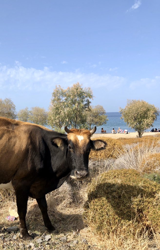 Herkesin hakkı 😌 <a href="/alpertuydes/">Alper Tüydeş</a>