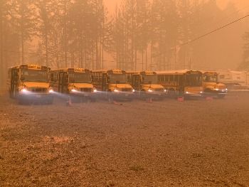 AmericanBusAssn's tweet photo. Every year, school buses and motorcoaches rescue tens of thousands of people from harm’s way, specifically in the event of wildfires and hurricanes. How will these people escape without us when time is running out? #busessavelives @realDonaldTrump @senatemajldr @SpeakerPelosi https://t.co/yHmj8EXyom