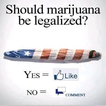 JacobRocker5's tweet image. Should marijuana be legalized worldwide... #420nations #gas #budtrader #weedlovers #free420 #cannabisculture
#ConflictInPandemic
#Trump
#tuesdayvibes