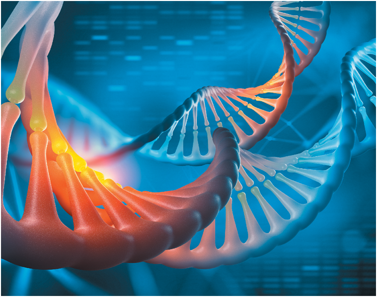 Thomas_Wilckens's tweet photo. Next Gen #Healthcare: The problem isn’t #genomics - The Journal of #PrecisionMedicine https://t.co/H68qQkofxz @HGlorikian @JournPrecMed #gene #genetics #precisionmedicine #healthdisparity #equity #health #genomicmedicine #valuebasecare https://t.co/TSVaor1TRW