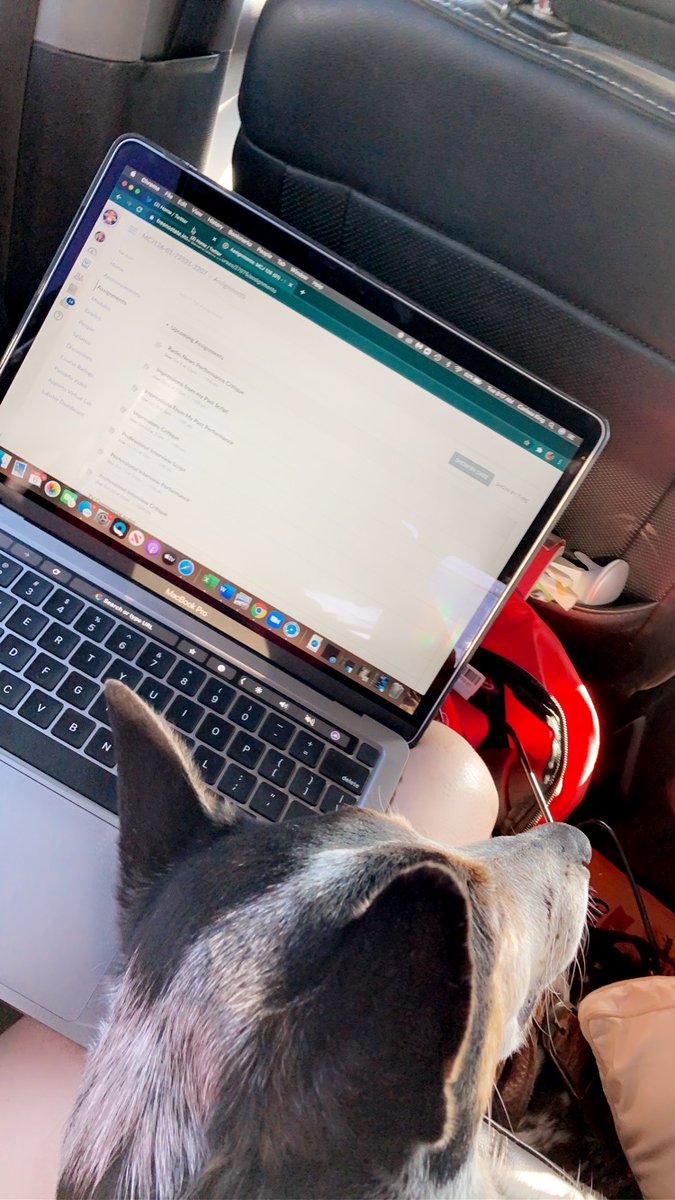 Headed to Fort Worth, Texas, for the <a href="/NRCHAnews/">National Reined Cow Horse Association</a> Snaffle Bit Futurity! The best way to have classes is in the truck! Cam also wants to get a college education. 🤍 <a href="/peacekim/">Kim Stephens</a> <a href="/FresnoStateCAH/">Arts and Humanities</a> #MCJ124 <a href="/FSMCJDept/">MCJ Department</a>