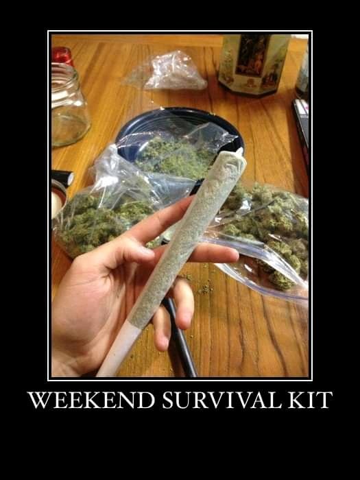 JacobRocker5's tweet image. Hell yea I'm here to heal my nation's 420
#free420
#420
#mmjdoctor
#weedlife
#cannabiscurecancer
#CannabisNews
#budtrader
#bud
#bongs
#WeedLovers