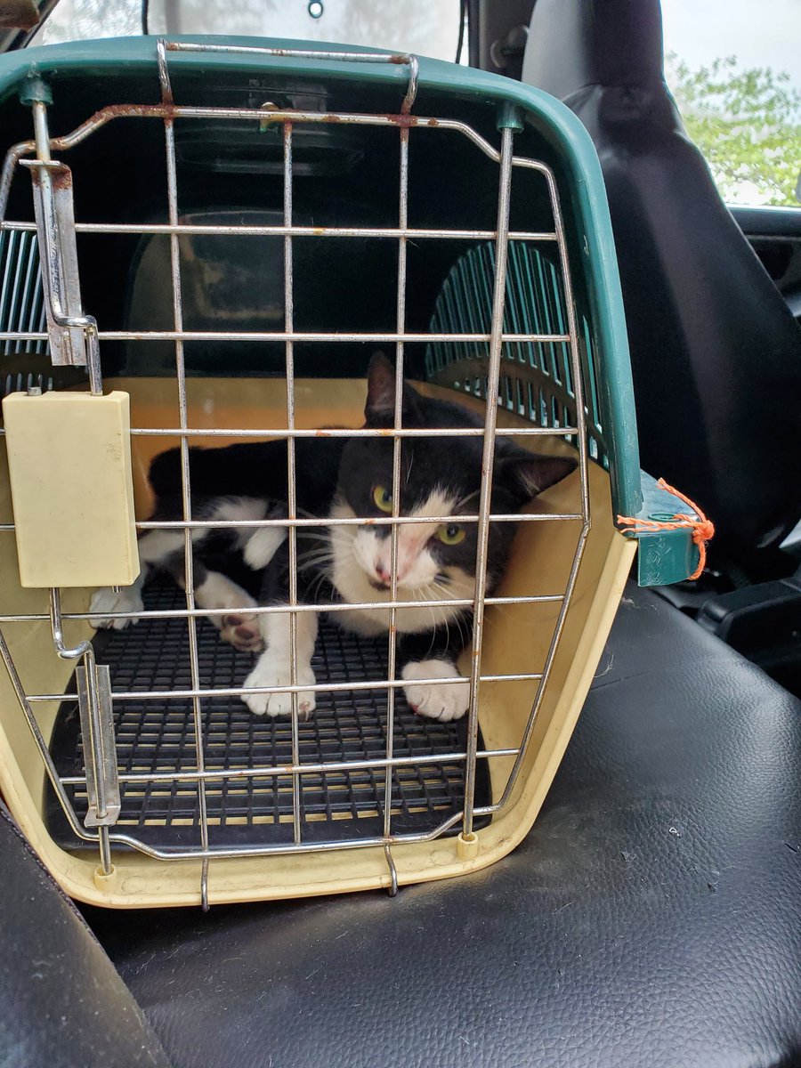 ¡Hola gente linda! Necesitamos ayuda 🙏
Somos voluntarios, tenemos mucho amor para cuidar a nuestros 🐶🐱 pero nos faltan recursos, durante estos meses hemos esterilizado, cuidado y alimentado a más de 100 pancitas.
¡Son tiempos difíciles danos una manito!